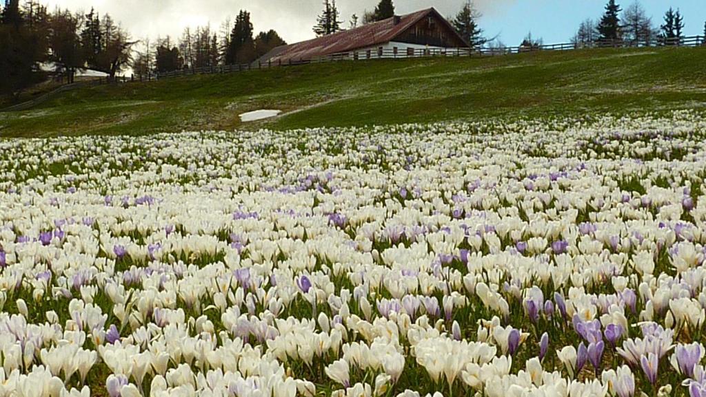 Haus Thea Apartment Imsterberg Bagian luar foto